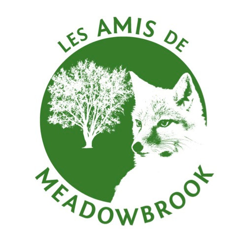 Les Amis de Meadowbrook is a non-profit, grassroots organization of concerned citizens of Montreal West, Cote St. Luc and NDG, dedicated to preserving the green space of Meadowbrook golf course.